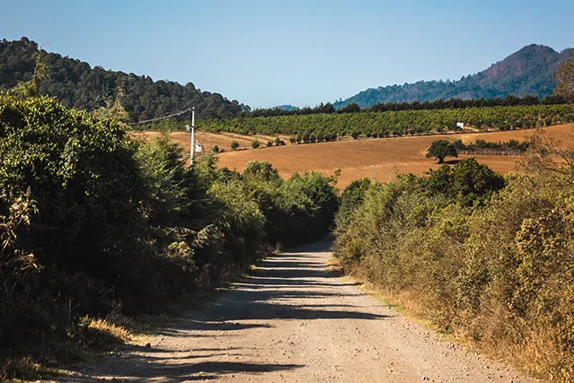 Un camino de tierra bordado por vegetación se extiende hacia campos cultivados y colinas bajo un cielo despejado.