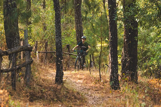 Una persona en bicicleta de montaña desciende por un sendero arbolado, rodeada de bosque denso.