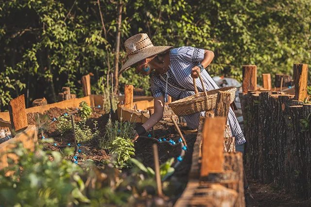 Una persona con sombrero de paja trabaja en un huerto elevado, cuidando las plantas bajo el sol.